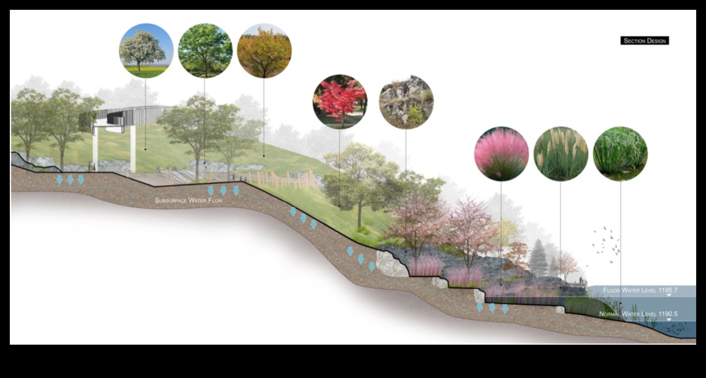 Τι ρόλο παίζει η τοπογραφία στη διαμόρφωση των επίγειων τοπίων;