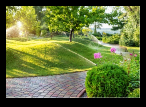 Βιώσιμος εξωραϊσμός Ένας οδηγός για το πρασίνισμα της αυλής σας 3 Βιώσιμοι Ορίζοντες: Σχεδιασμός Τοπίου για Μελλοντικές Γενιές