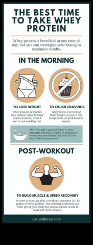 Η κατάλληλη στιγμή για πρωτεΐνη