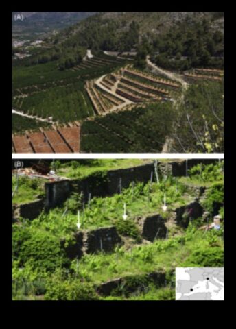 Terraced Landscapes Μια ζωντανή κληρονομιά
