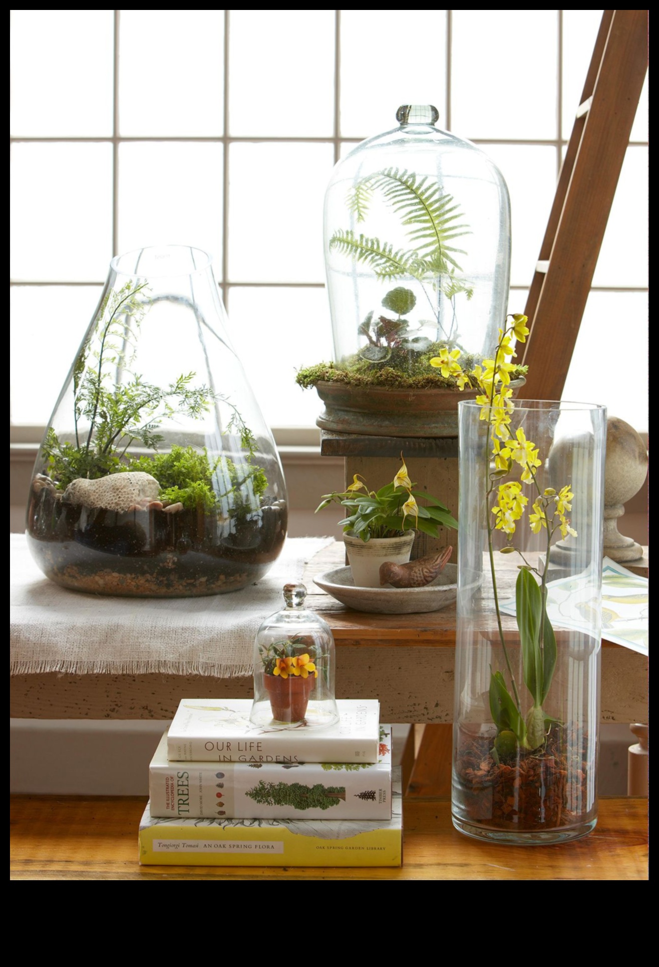 Terrariums Ένα σπίτι για τα φυτά σας 2 Χειροτεχνία με φυτά: DIY Terrarium και Βοτανικές Δημιουργίες