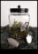 DIY Papercraft Terrariums Ένα διασκεδαστικό και δημιουργικό έργο