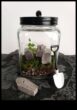 DIY Papercraft Terrariums Ένα διασκεδαστικό και δημιουργικό έργο