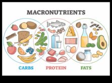 Η Ισορροπημένη Δίαιτα Συντόμευση