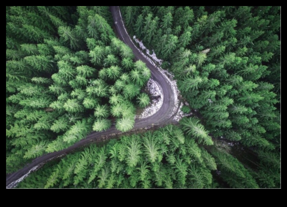 Drone Photography Μια νέα προοπτική 2 DIY Drone Photography: Elevating Your Perspective