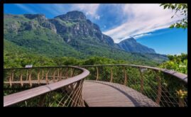 Canopy Chronicles A Journey to the Treetops of Outdoor Bliss