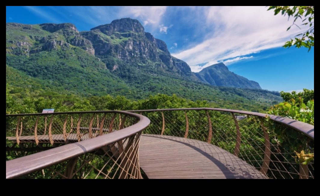 Canopy Chronicles: Stories from the Treetops of Outdoor Bliss