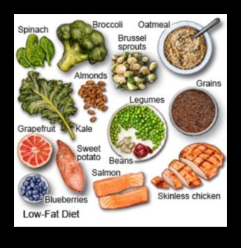 Η δίαιτα χαμηλών λιπαρών Τι πρέπει να γνωρίζετε 1 Πλοήγηση στον κόσμο της διατροφής με χαμηλά λιπαρά: Εγχειρίδιο για αρχάριους