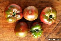 Vibrant Heirloom Tomatoes with Creamy Buffalo Mozzarella