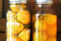 Weekend Citrus Project Two Ways to Preserve Lemons