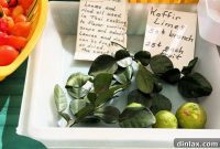 Green Gold Golden Sunshine