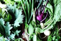 Zesty Kohlrabi Pickle