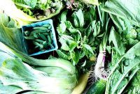 CSA Week 2 Making the Most of Simple Creme Fraiche Dressing Turnip Burgers and Bok Choy