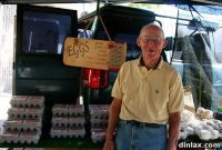 Baked & Scrambled Delights