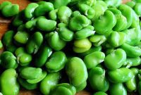 Vibrant Fava Pecorino Salad