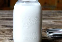 Homemade Cashew Milk and Chia Pudding