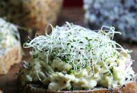 Apple Curry Egg Salad