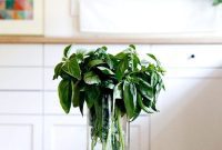 CSA Week 3: Margaret Roach’s Garden Strategy, Basil Storage Tips, Salted Cucumbers, and Sugar Snap Pea Salad