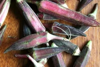 Pickled Okra and Baker’s Foie