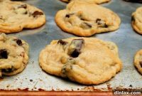 The Black Prince Tomato and Chocolate Chip Cookie Paradox