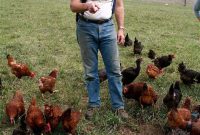 Pioneering Regenerative Farming: Joel Salatin and Polyface Farm