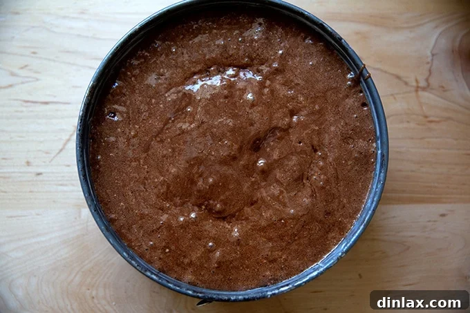 Classic Caprese Flourless Chocolate Almond Torte 13 Unbaked Torta Caprese batter evenly spread in a parchment-lined springform pan, ready to enter the oven.