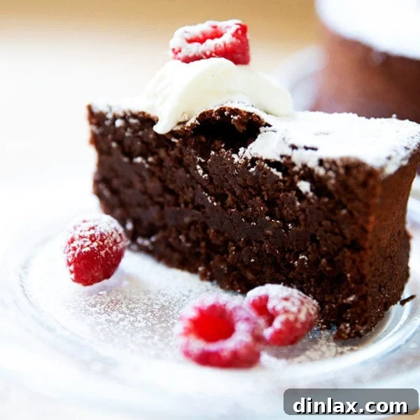 Freshly baked Torta Caprese, lightly dusted with powdered sugar, ready for serving.