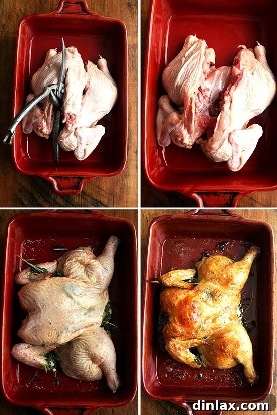 Make-Ahead Lemon & White Wine Chicken Pasta 7 A visual montage illustrating the steps to prepare and roast a spatchcocked chicken.