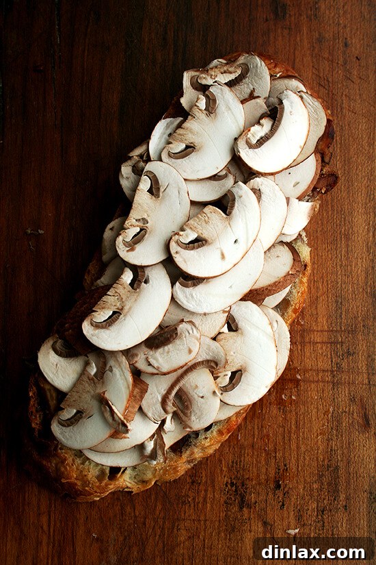 Unpressed mushroom tartine, showing thinly sliced raw mushrooms ready for the panini press.