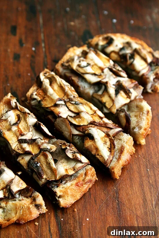 Delicious mushroom tartines, perfectly golden and seasoned, ideal for a satisfying light meal or a sophisticated appetizer.