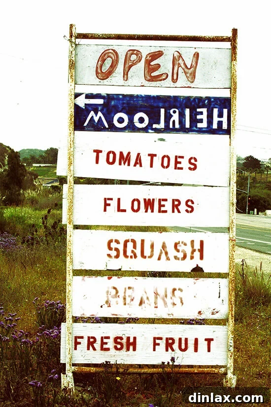Signboard pointing towards fresh, local products A vibrant signboard with text, symbolizing local produce and quality.