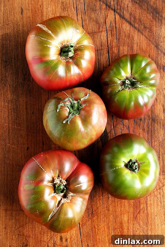 Valdivia Farm: Young Cherokee Purple Tomatoes Rows of young Cherokee Purple tomato plants thriving in the field at Valdivia Farm.