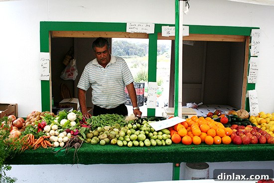 Valdivia Farmstand: Local Produce Vendor A farmer at Valdivia Farmstand selling fresh produce, embodying the spirit of local agriculture.