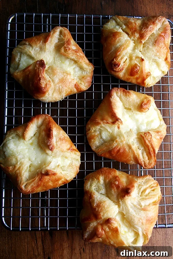 An overhead shot of 5 freshly baked cheese Danishes cooling on a wire rack, their golden brown crusts shimmering.