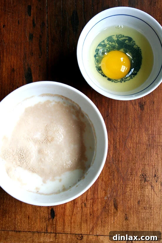 A bowl containing a yeast-milk-water mixture next to another bowl with a beaten egg, ready for the dough.