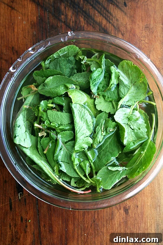 Make the Most of Your Radishes 12 Radish greens soaking in a bowl of cold water, a necessary step to remove dirt before cooking.