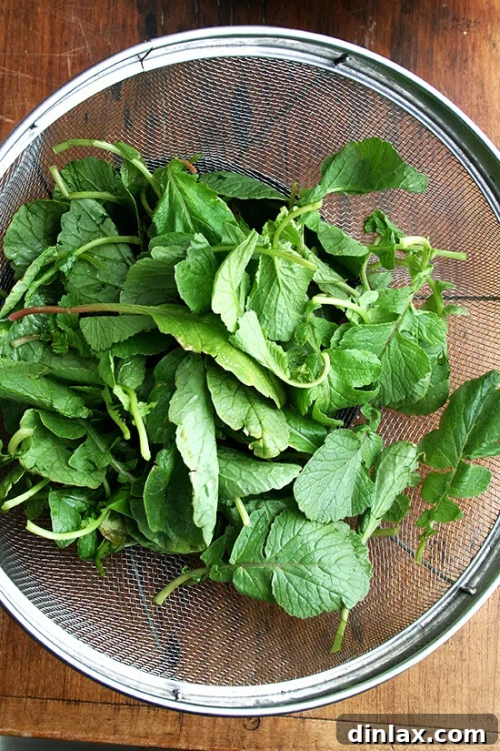 Make the Most of Your Radishes 13 Radish greens in a colander, having been drained after soaking. No need to spin them completely dry if they're destined for sautéing.