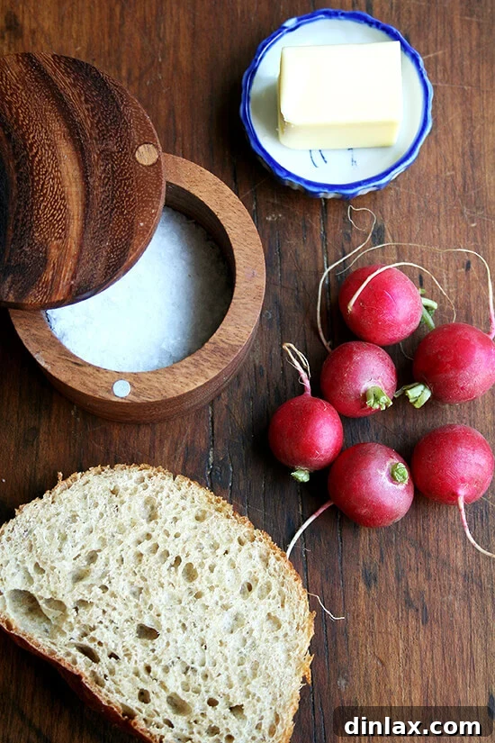 Make the Most of Your Radishes 17 Classic preparation of radishes served with butter and salt on a rustic piece of bread.