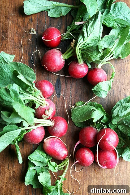 Make the Most of Your Radishes 3 Close-up of freshly harvested radishes, some with their vibrant green tops still attached.