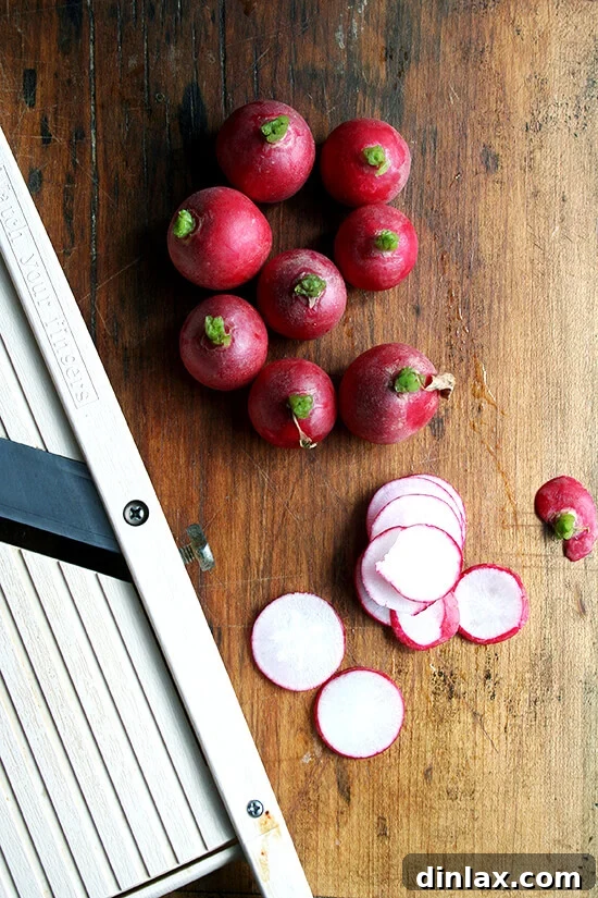 Make the Most of Your Radishes 6 Radishes with stems intact, positioned for slicing on a mandoline. The stem provides a natural handle for safer and easier slicing.