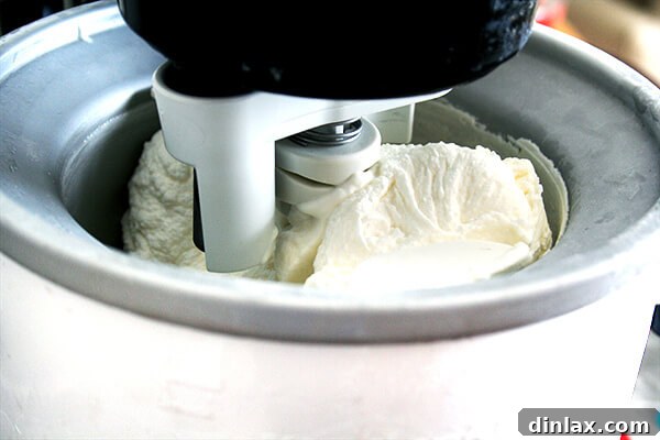 Silken Mascarpone Sorbet 5 An ice cream maker in action, churning the mascarpone sorbet mixture, showing the blades slowly mixing the liquid into a creamy frozen dessert.