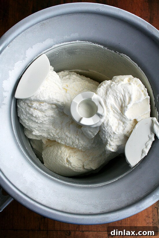 Silken Mascarpone Sorbet 6 A close-up of freshly churned mascarpone sorbet, showcasing its soft, almost soft-serve-like texture straight from the ice cream maker.