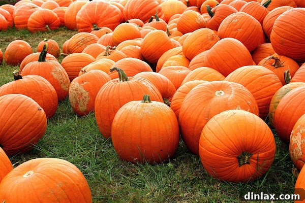 Homemade Pumpkin Waffles with a sprinkle of powdered sugar, served with maple syrup and butter.