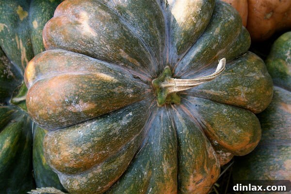 A festive table setting featuring pumpkins and fall foliage, inviting guests to enjoy seasonal culinary delights.