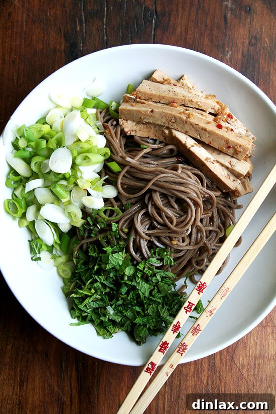 Soba Noodle Salad with perfectly marinated tofu, fresh mint, and scallions, all glistening with a ginger and garlic soy-based dressing. A vibrant, healthy, and easy meal.