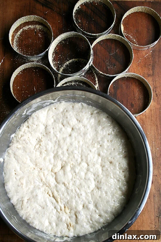 English muffin dough, rising