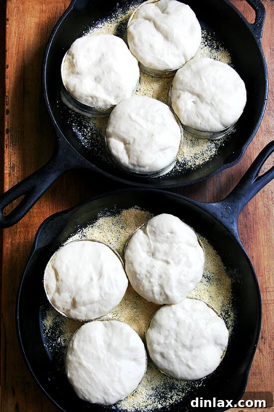 dough rising in cast iron skillets
