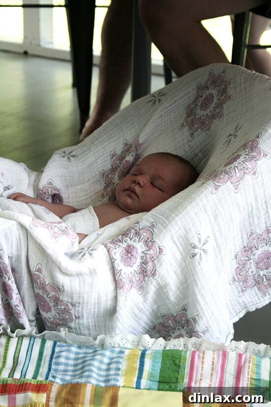 Lahey Pizza Dough Rescue: Pissaladière and Focaccia 12 Wren, one of the 'little cubs' enjoying the day.