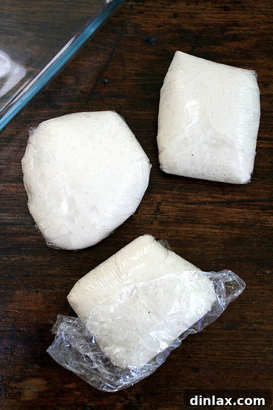 Lahey Pizza Dough Rescue: Pissaladière and Focaccia 3 5-day old pizza dough, showing its mature texture ready for transformation.