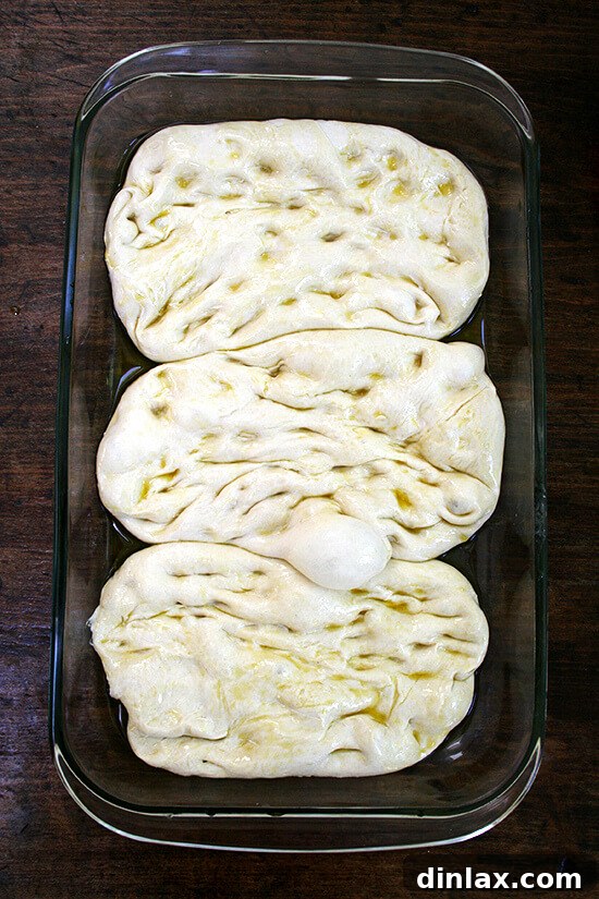 Lahey Pizza Dough Rescue: Pissaladière and Focaccia 5 Hands gently stretching the dough to fill the pan, creating a perfect base.